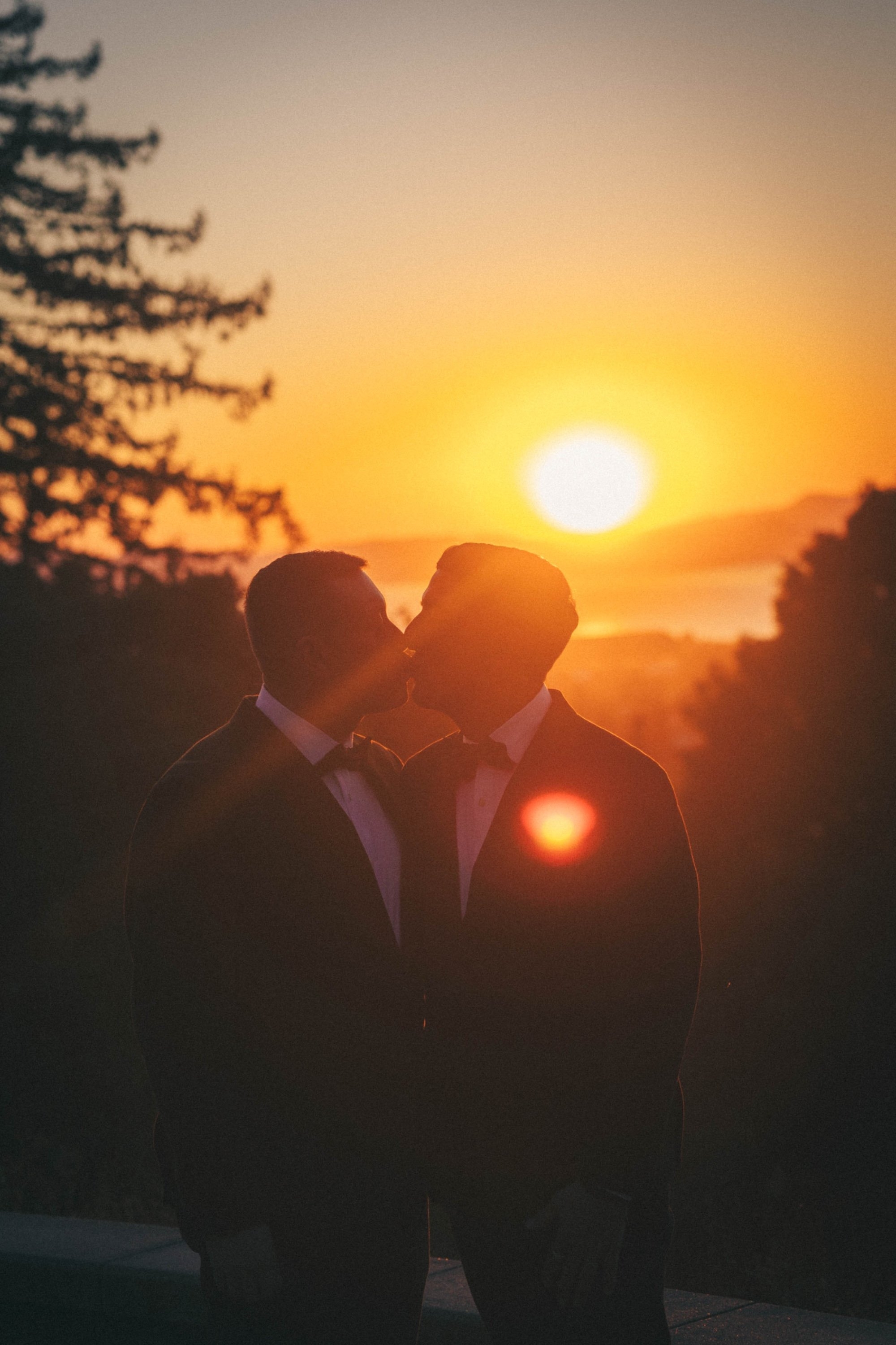 carousel-hero-element image-1