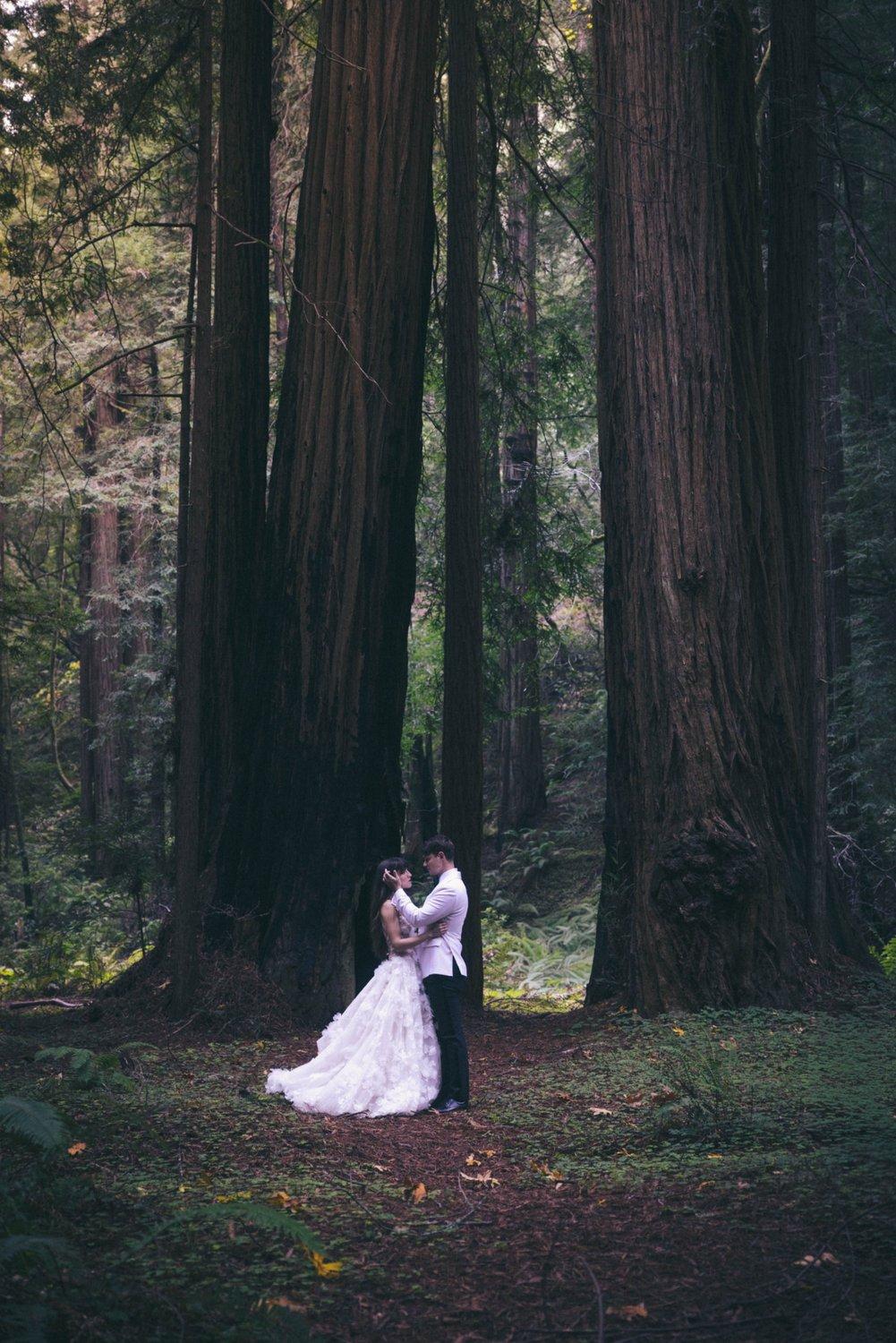 carousel-hero-element image-2