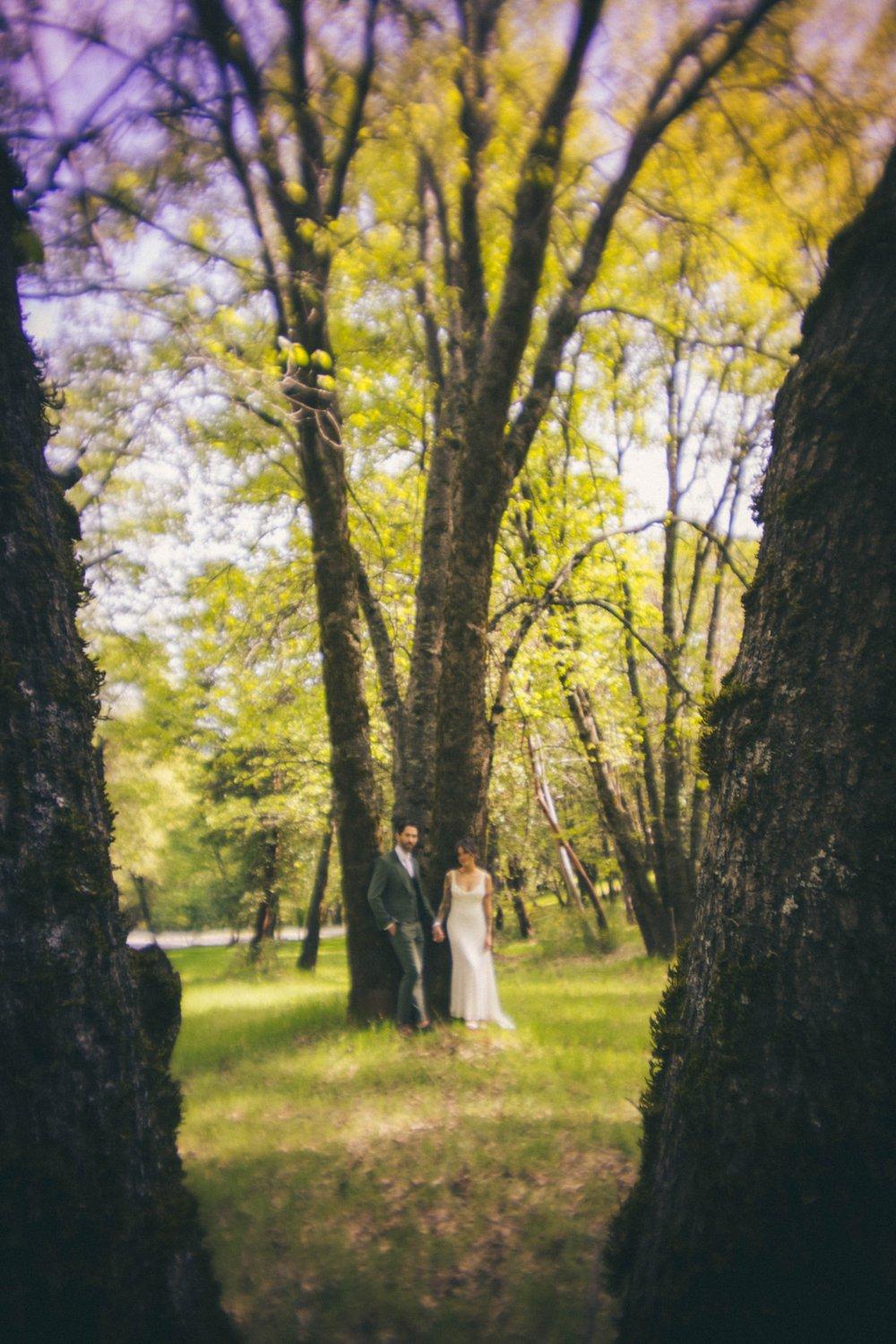 carousel-hero-element image-8