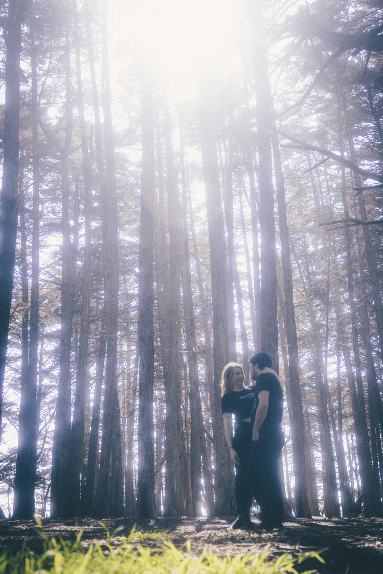 Blog